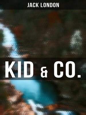 cover image of Kid & Co.